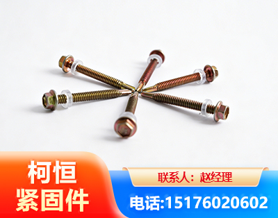 本溪六角钻尾丝